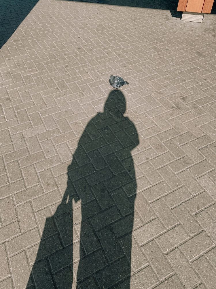 Photograph by Мария Власова