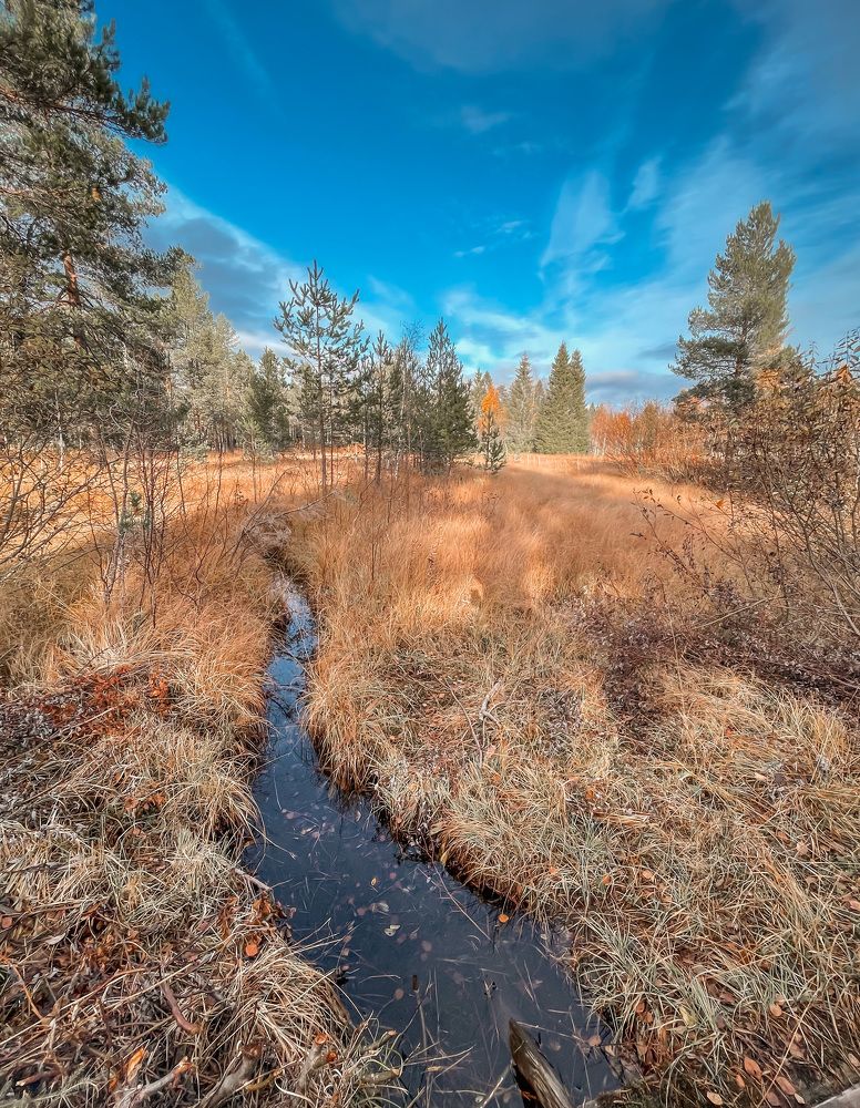 Фотография автора Anna NovaLova