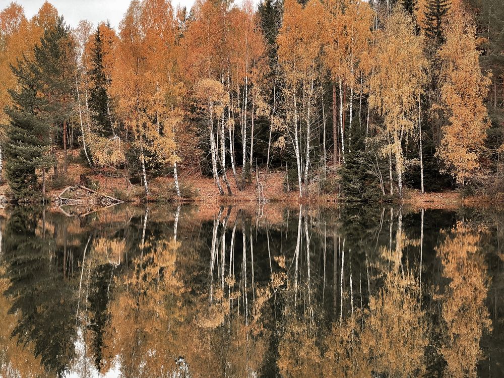 Фотография автора Anna NovaLova