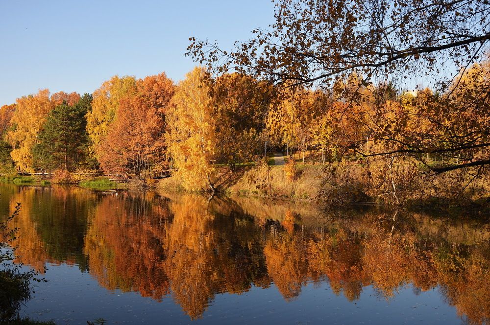 Photograph by Евгений Даниленко