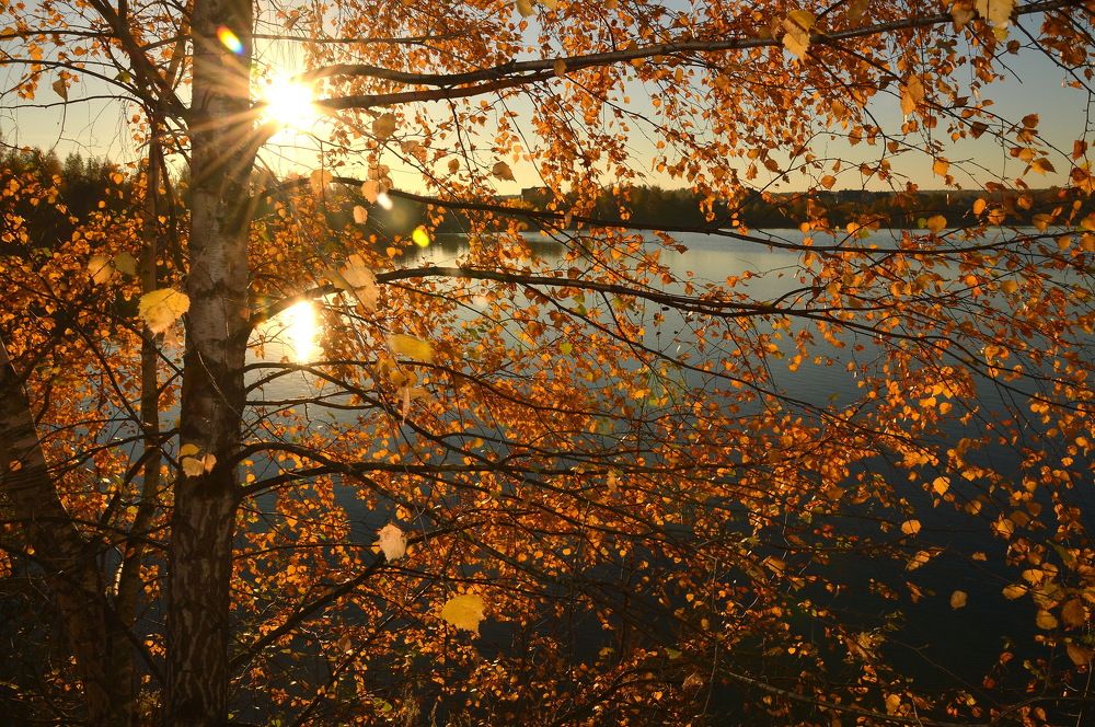 Photograph by Евгений Даниленко