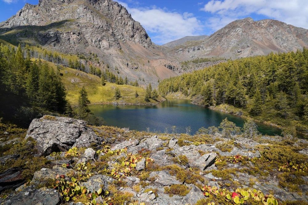 Фотография автора Татьяна Добровольская