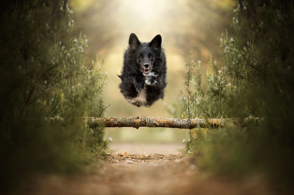 Фотография автора Rut Casanellas