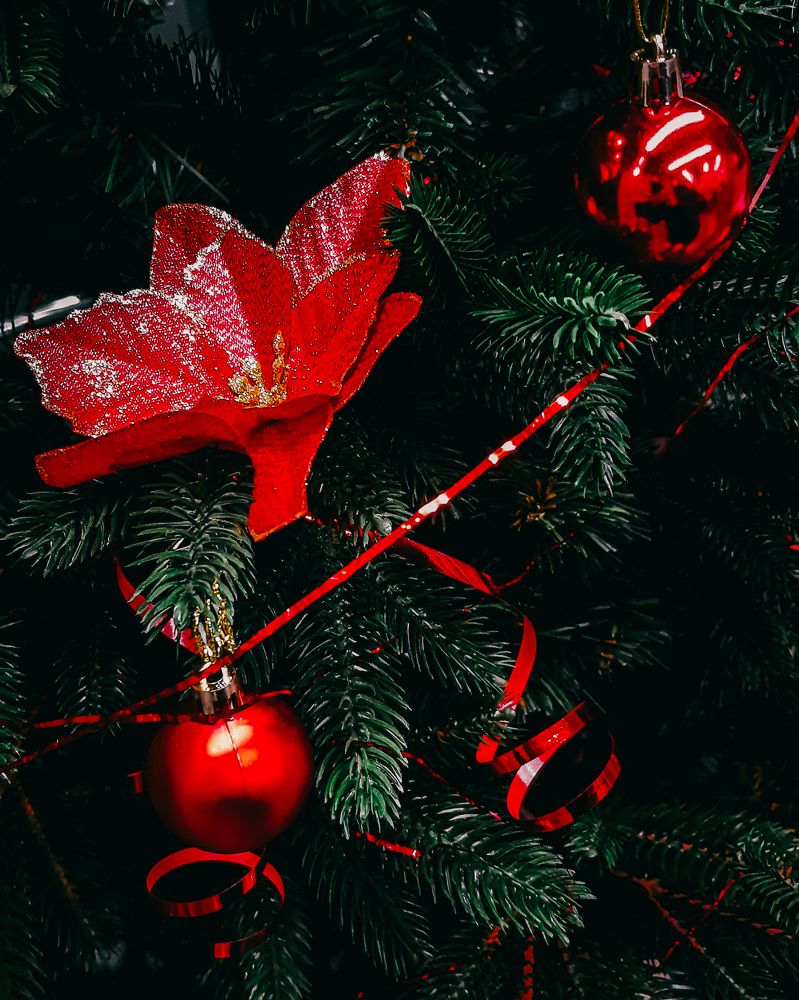 Photograph by Mobigraf