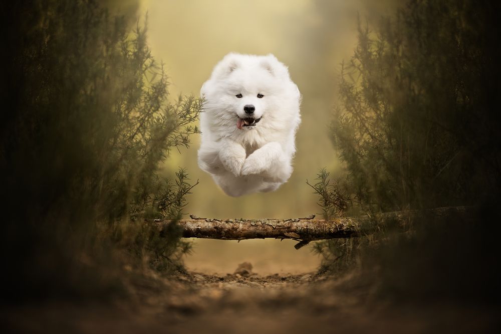 Фотография автора Rut Casanellas