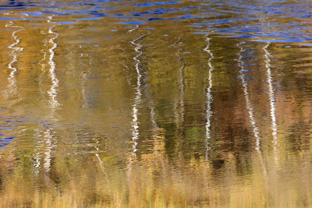 Фотография автора Грачёв Олег