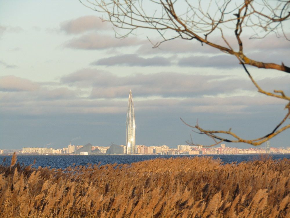 Photo #8352482