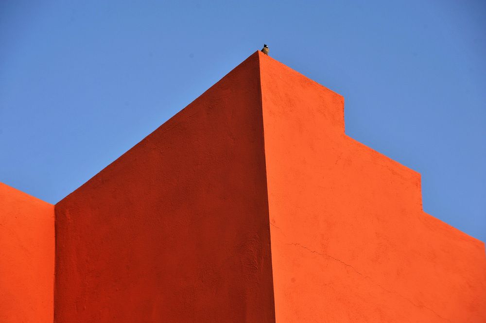 Photograph by davood vajdi