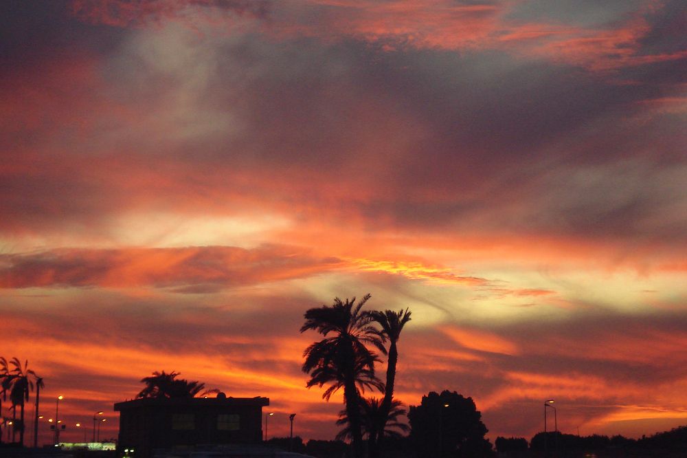 Photograph by Anastasiia Sergeeva