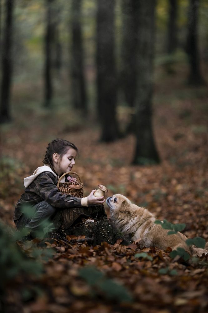 Photograph by Олеся Бучацька