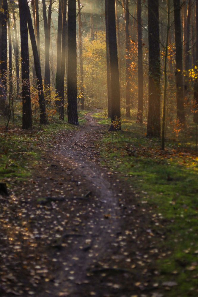 Photograph by Ксения Лаевская