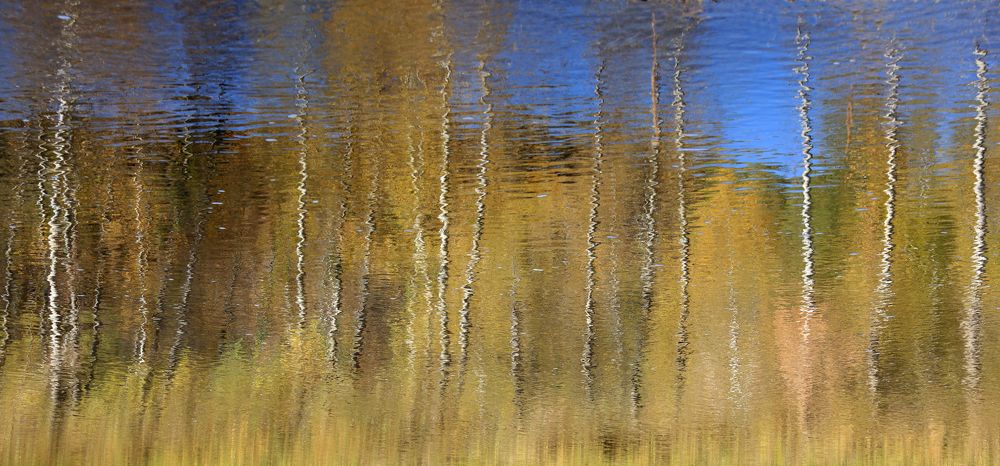 Фотография автора Грачёв Олег