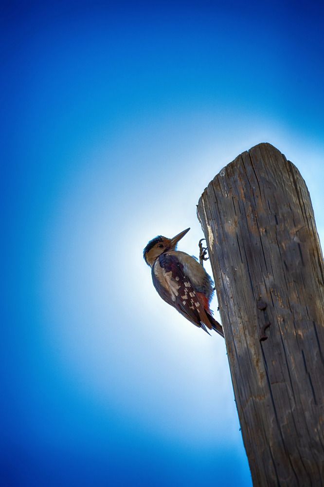 Photograph by Владимир Бутов