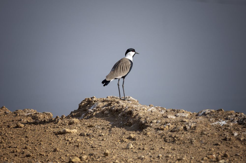 Photograph by Владимир Бутов