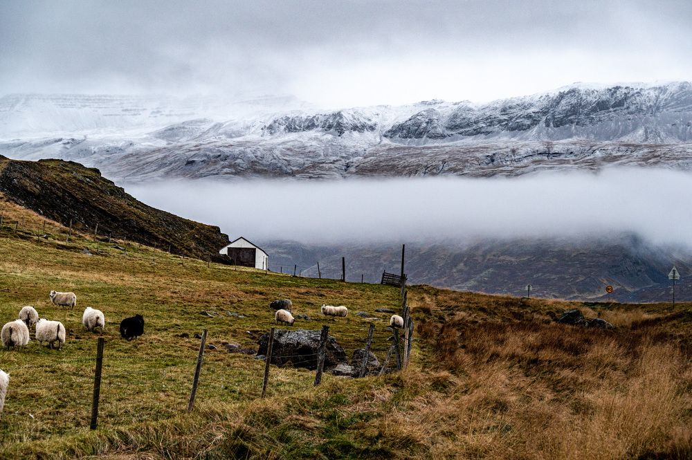 Photograph by Antonín Dudek