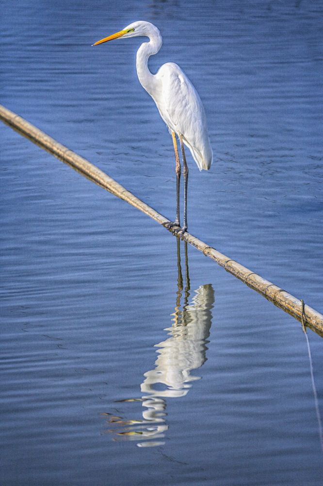 Photograph by Владимир Бутов