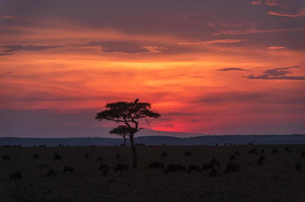 Photograph by Ranjith Kumar