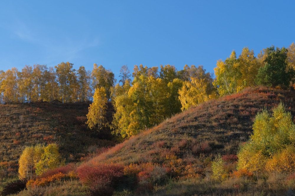 Photograph by Татьяна Рымар