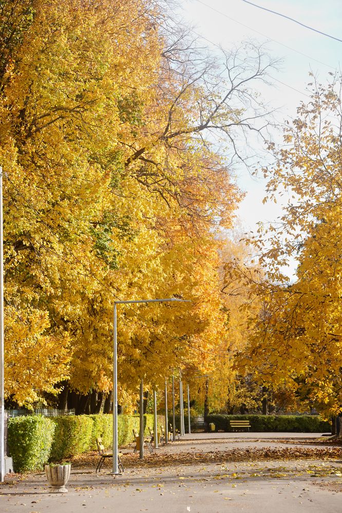 Photograph by Кристина Присакарь