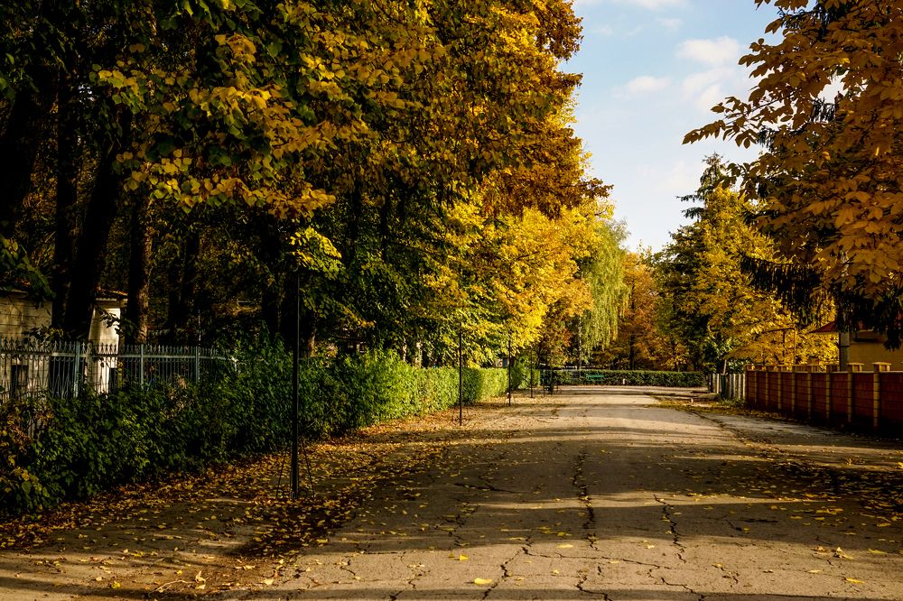 Photograph by Кристина Присакарь