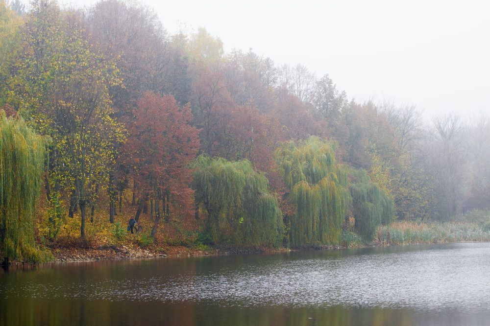 Photograph by Кристина Присакарь