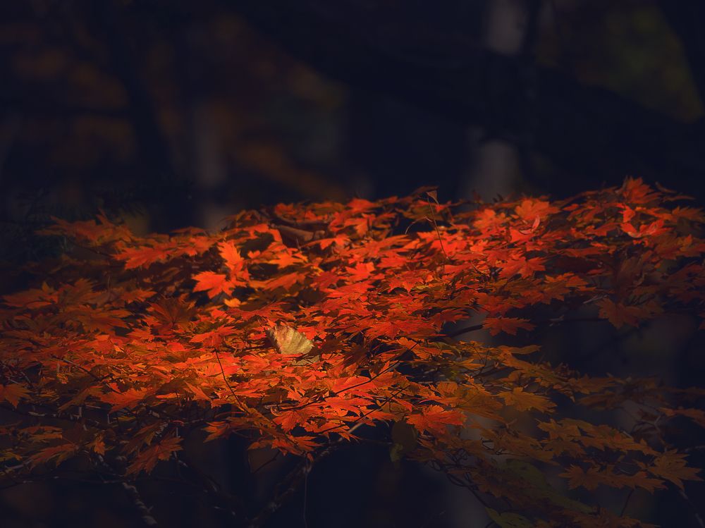 Photograph by Матвей Матвеев