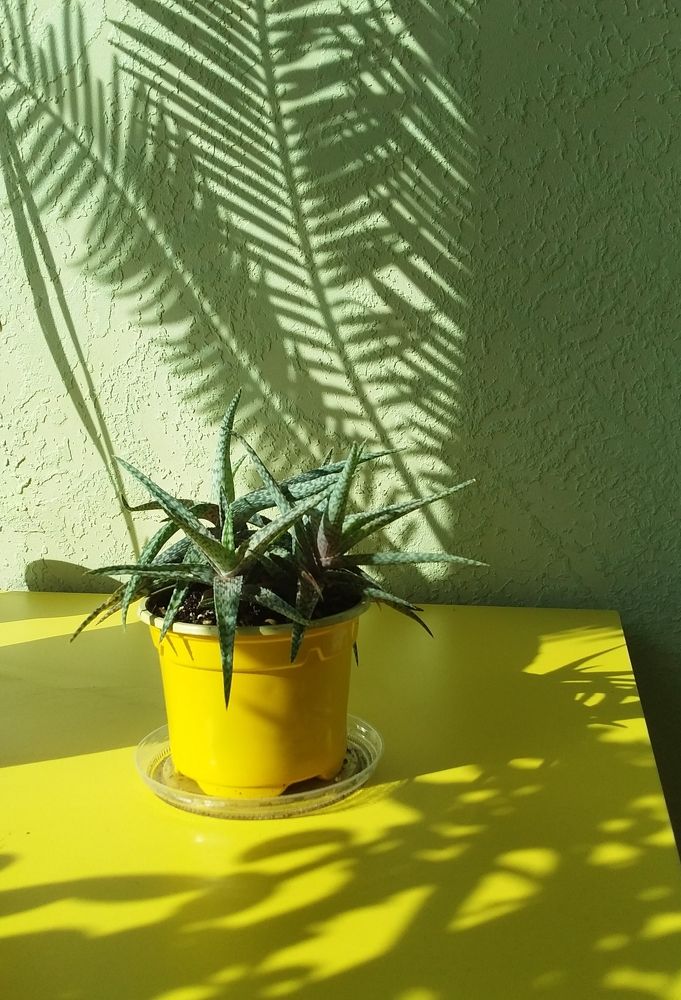 Photograph by Анастасия Кичигина