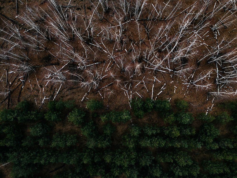 Photograph by Илья Осенко