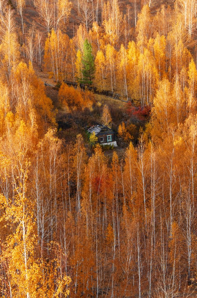 Photograph by Павел СидорOFF