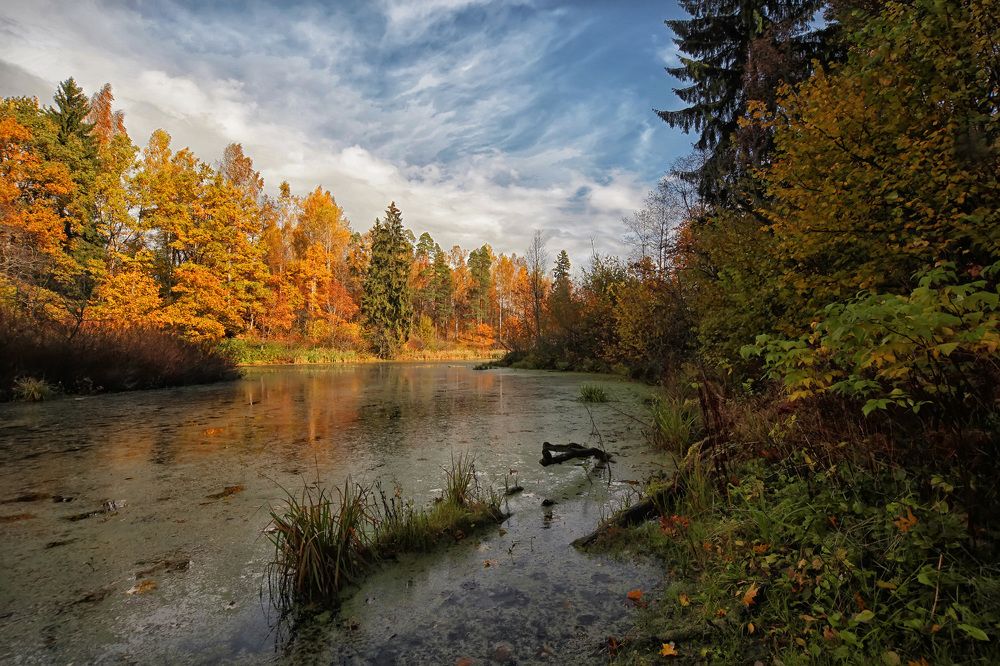 Photograph by Владимир Архипов