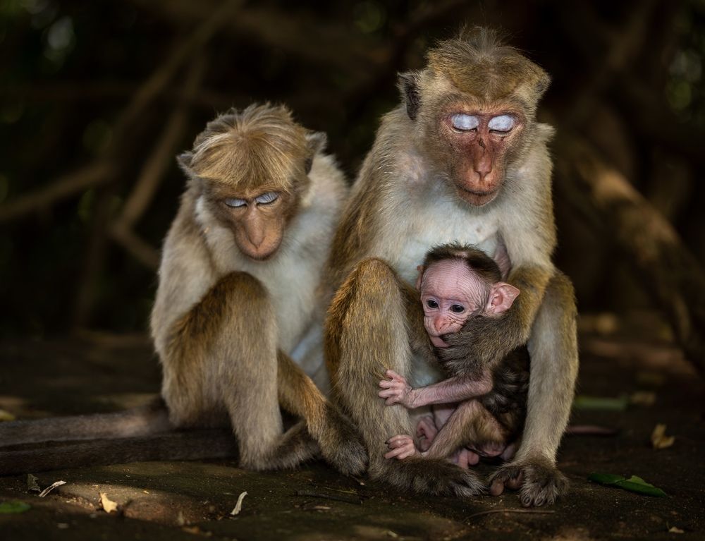 Photograph by Владимир Цветов
