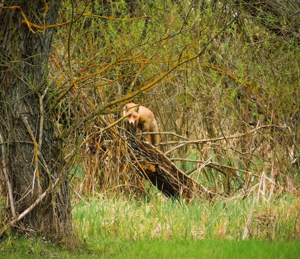 Photograph by Юлия Закопайло