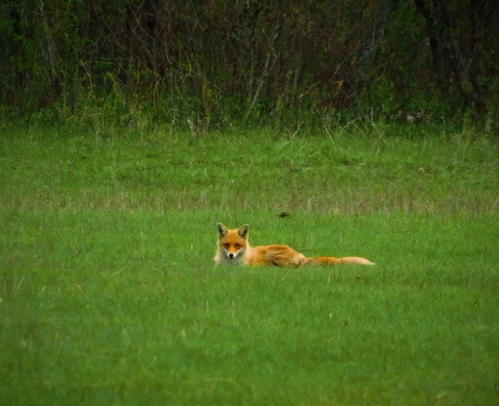 Photograph by Юлия Закопайло