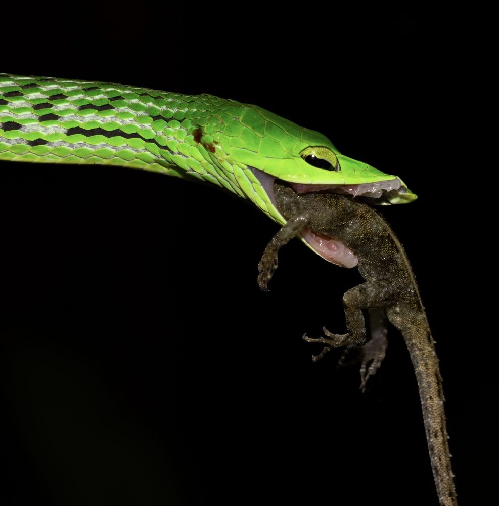 Photograph by Владимир Цветов