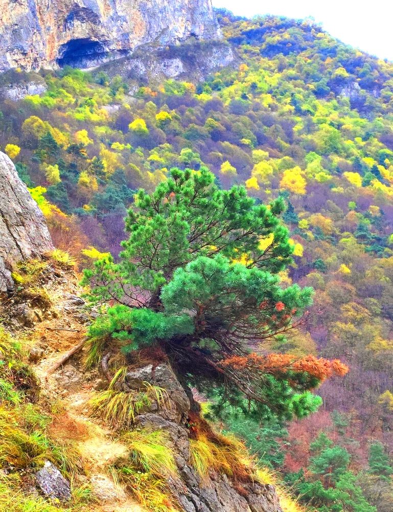 Photograph by Надежда