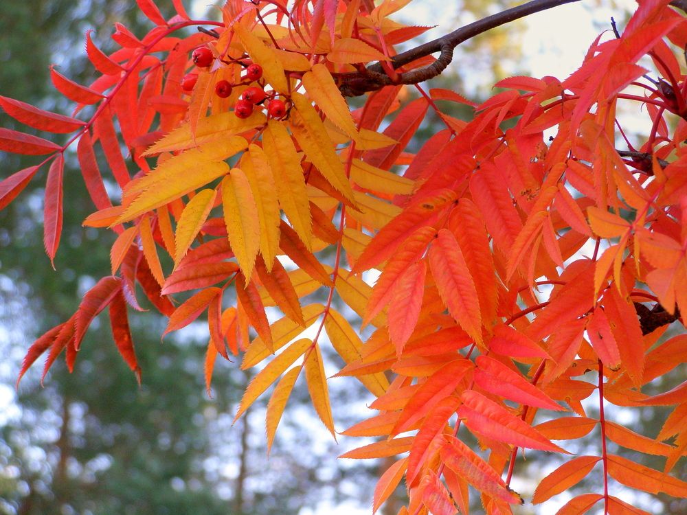 Photograph by Mарина Лесницкая