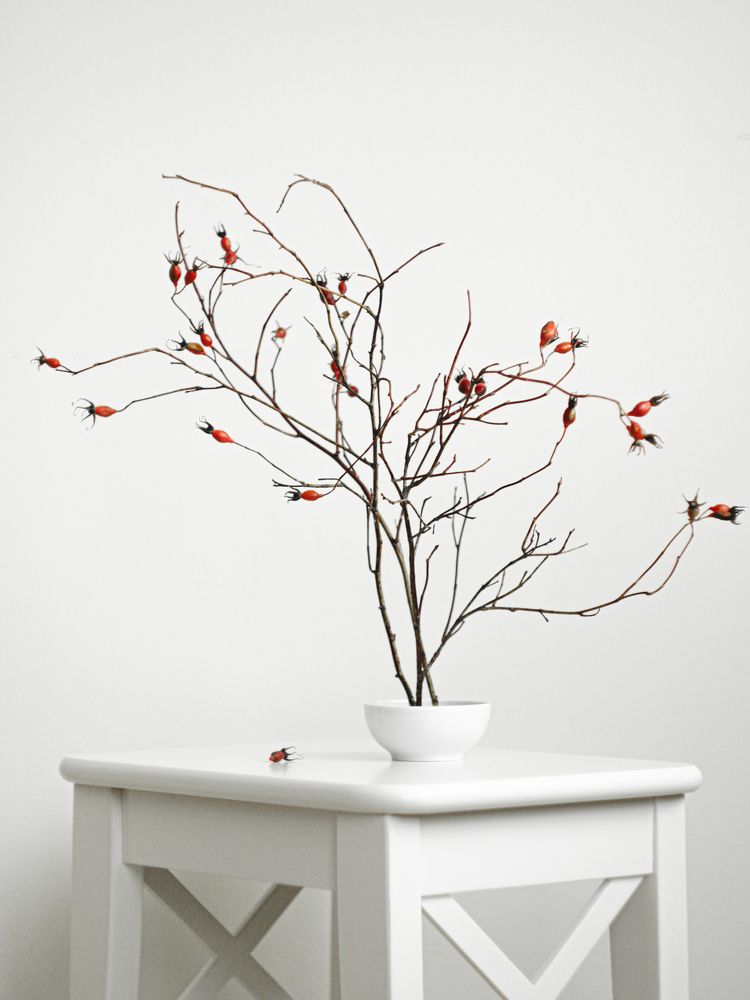 Photograph by Альфия