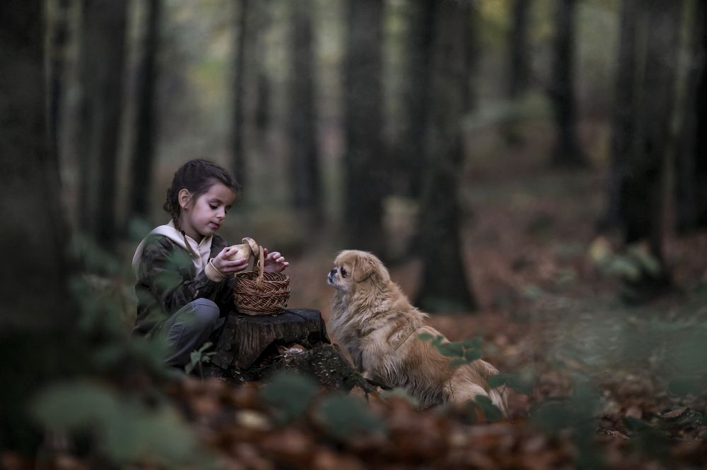 Photograph by Олеся Бучацька