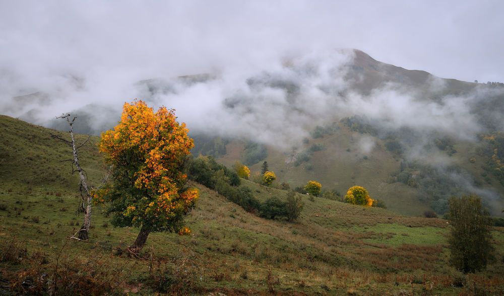 Photograph by Игорь Тымчук