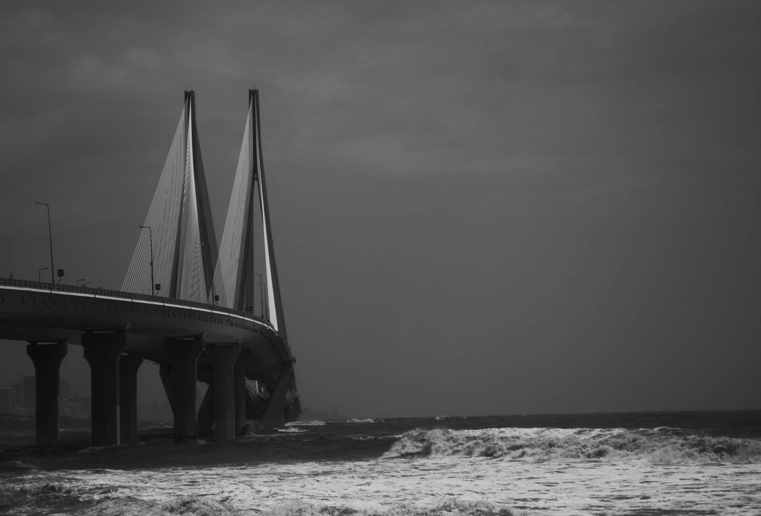 Photo #8353057