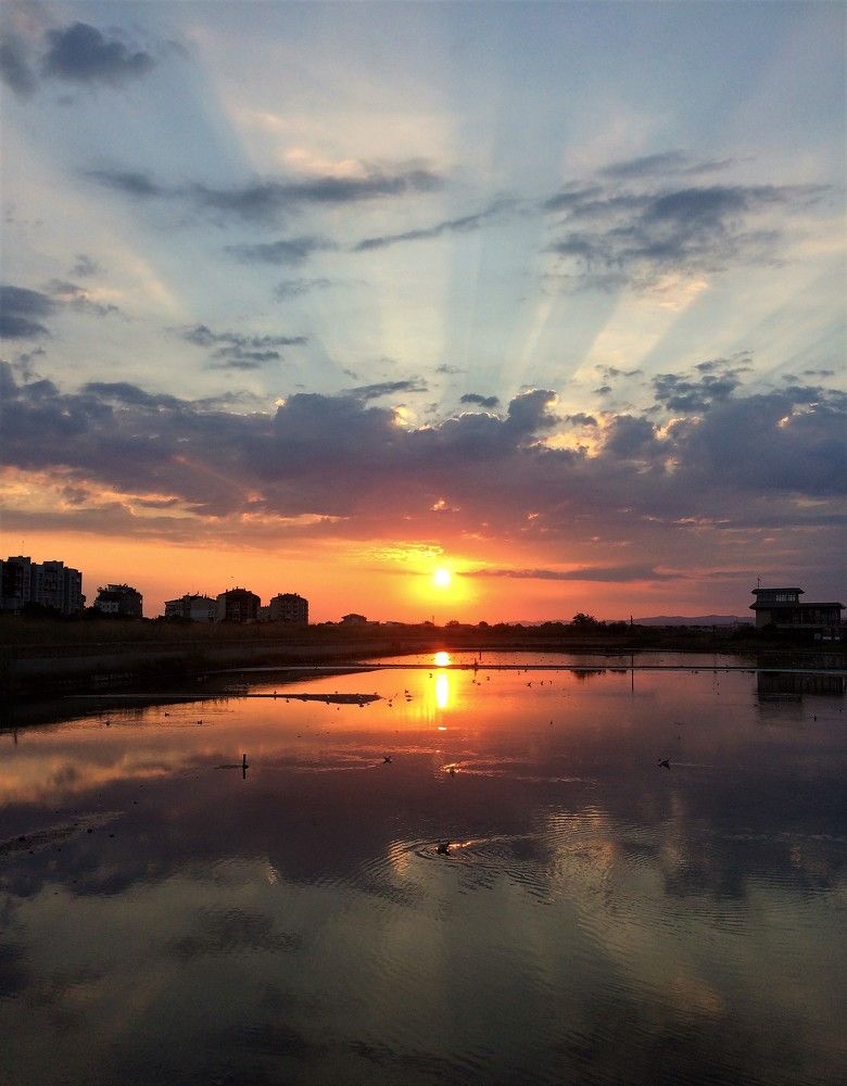 Photograph by Юлия Лис-а