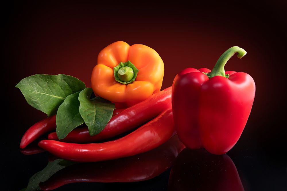 Photograph by David Lerer