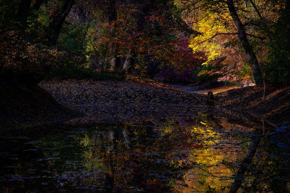 Музыка октября