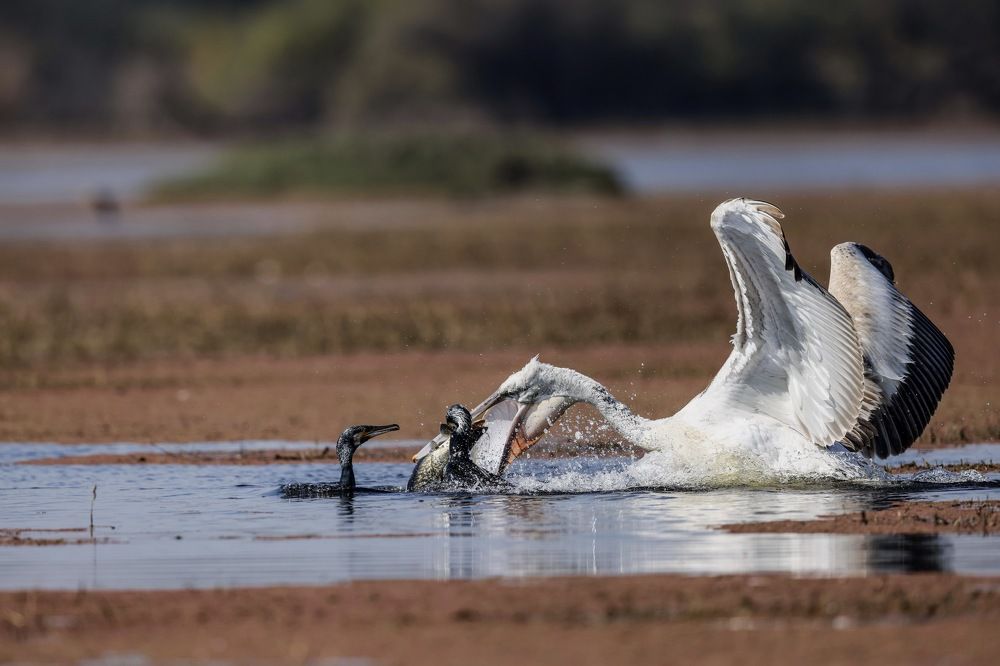 Photograph by Nilesh Tandel