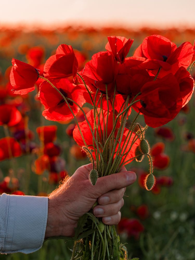 Маковый букет