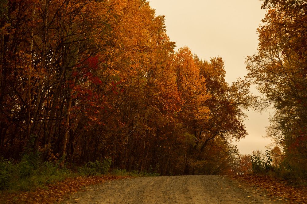 Photograph by Анна Колесниченко