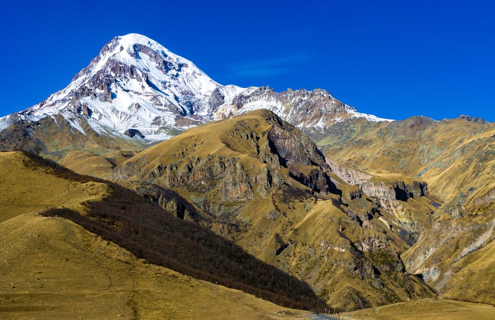 Photograph by Alex Kalpus