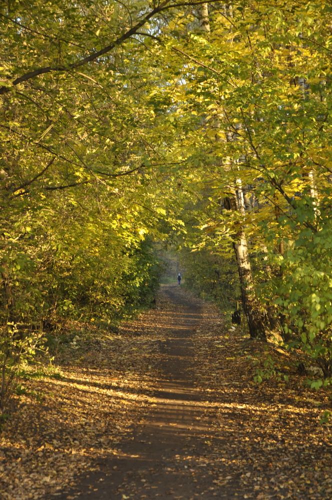 Photograph by Ольга Струкалина