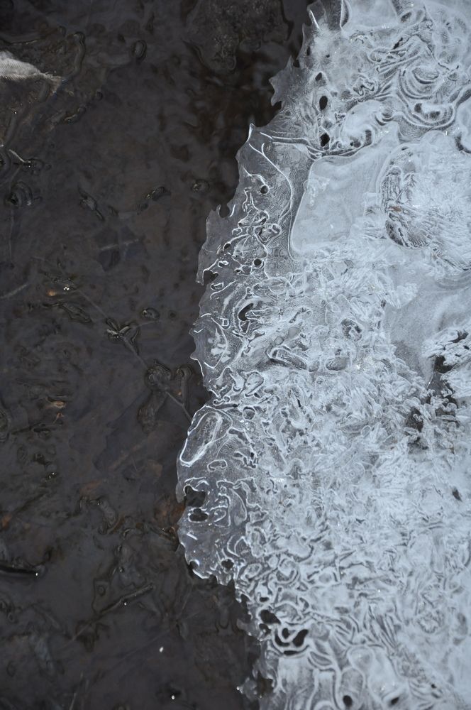 Photograph by Ольга Струкалина