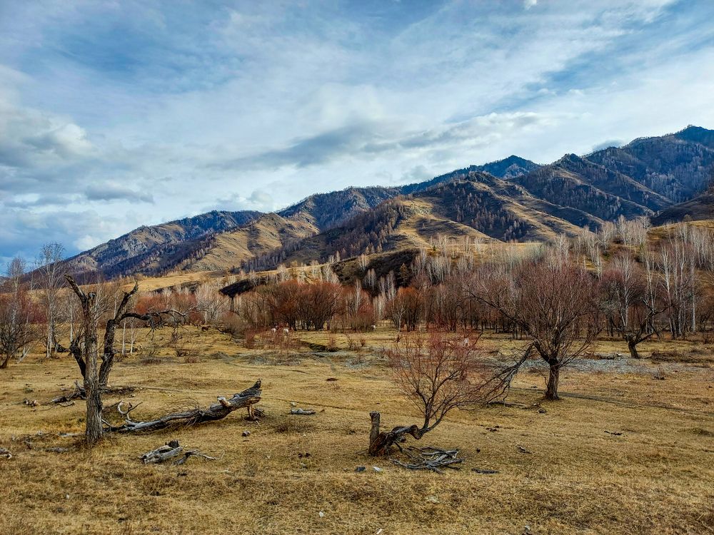 Photograph by Наталья Трифуз